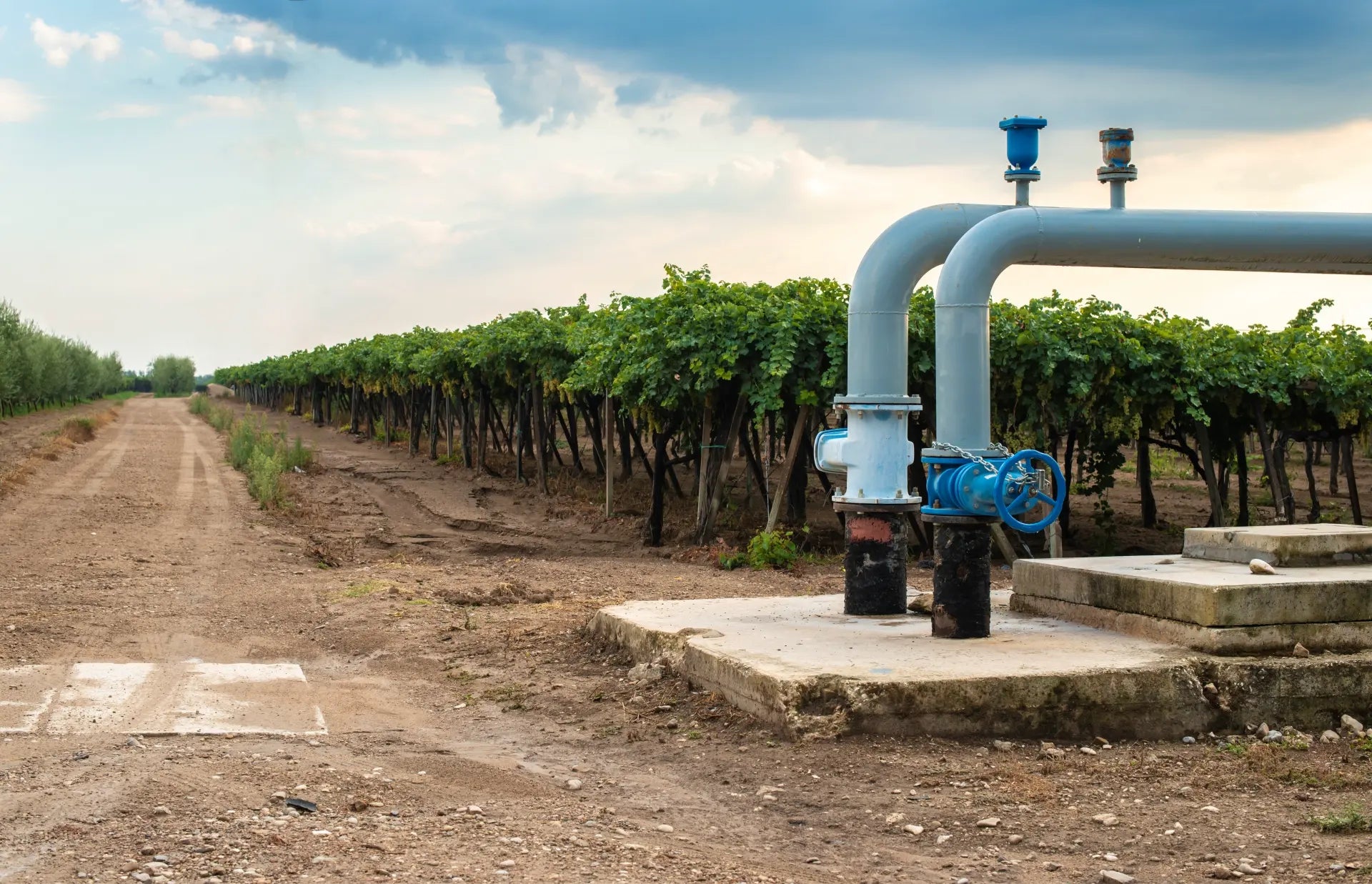 RO Water Supplies